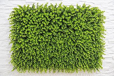 横版动作新游《罪恶传奇》上架Steam 2023年登陆全平台